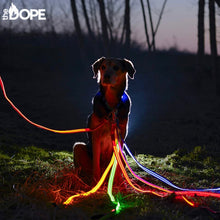 Load image into Gallery viewer, Blue LED Dog Leash