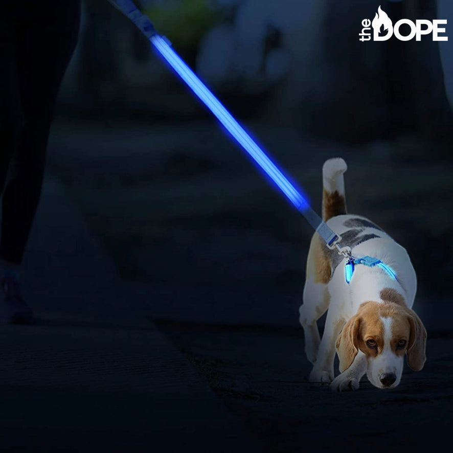 Blue LED Dog Leash The Dope Pet