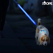 Load image into Gallery viewer, Blue LED Dog Leash
