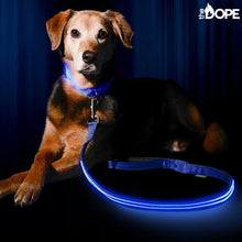 Load image into Gallery viewer, Blue LED Dog Leash
