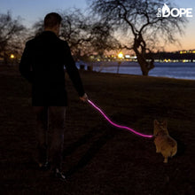 Load image into Gallery viewer, Pink LED Dog Leash
