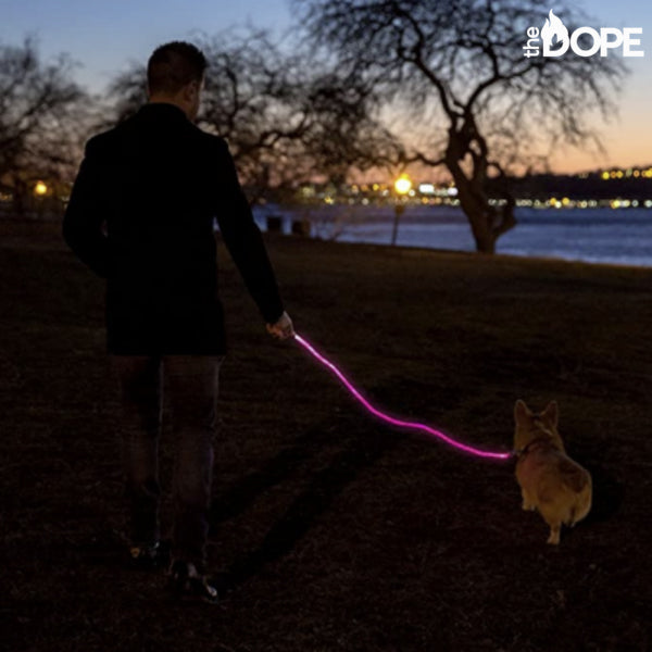 Pink LED Dog Leash