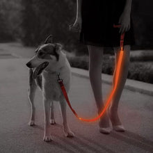 Load image into Gallery viewer, Orange LED dog Leash
