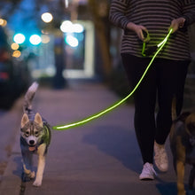 Load image into Gallery viewer, Green LED Dog Leash
