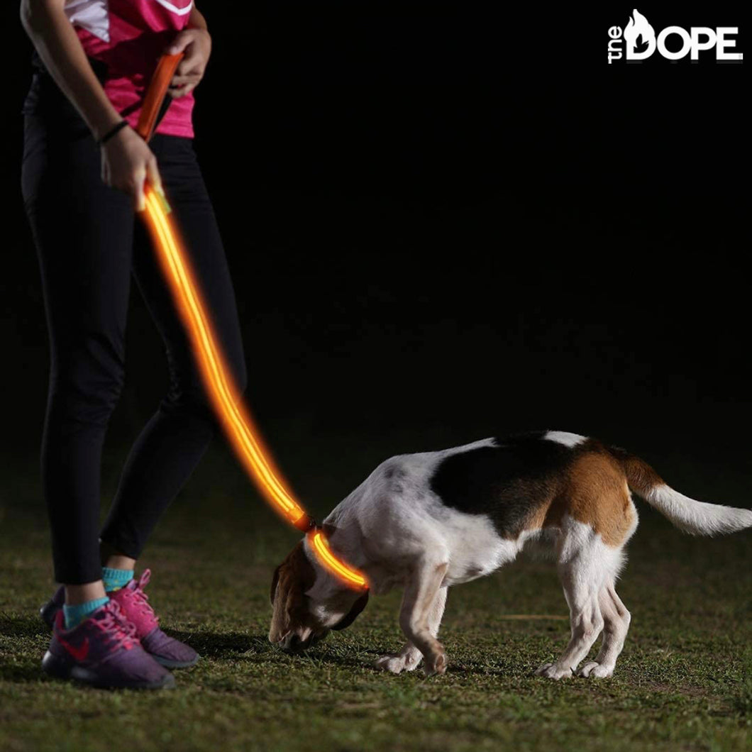 Orange LED dog Leash