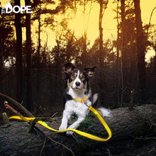 Load image into Gallery viewer, Yellow LED Dog Leash
