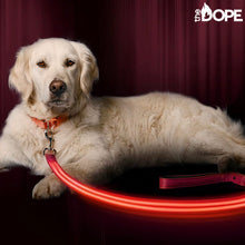 Load image into Gallery viewer, Red LED Dog Leash
