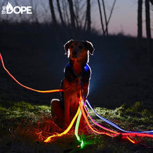 Load image into Gallery viewer, Blue LED Dog Leash
