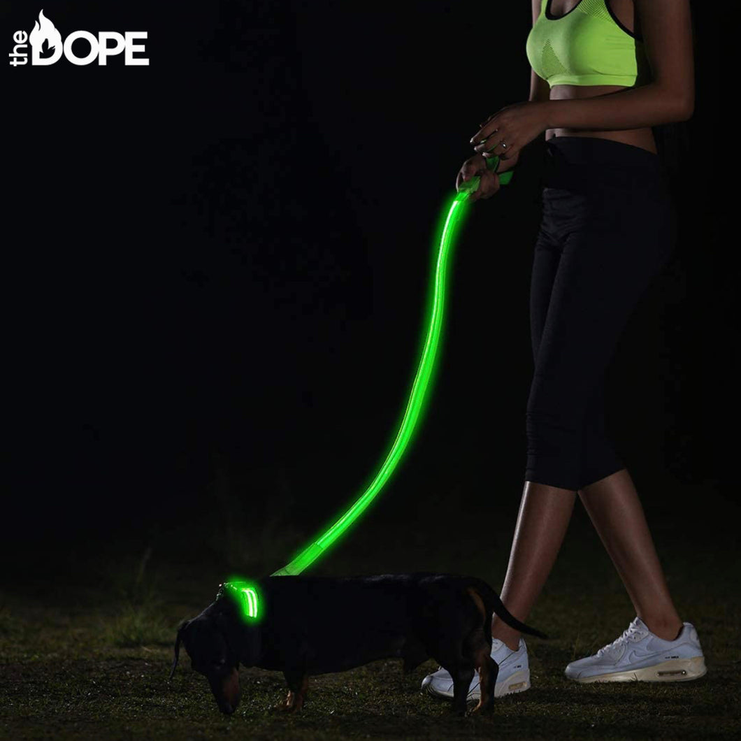 Green LED Dog Leash