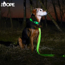 Load image into Gallery viewer, Green LED Dog Leash

