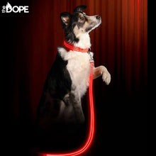 Load image into Gallery viewer, Red LED Dog Leash
