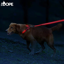 Load image into Gallery viewer, Red LED Dog Leash
